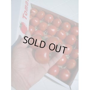 画像1: 果物の様なトマト「フルーツトマト」 約２Ｋ入り【税込み・送料別】　    