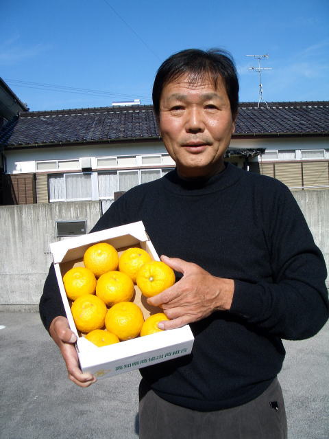 楽天市場 柚子 玉の通販